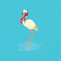 Flamingo bird illustration