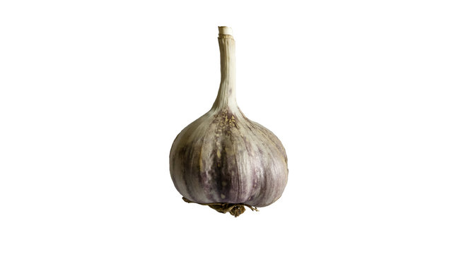 garlic on white background