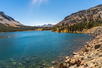 Yosemite National Park