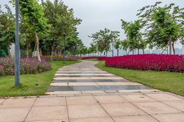 Obraz premium Stone walkway in the city park. Square with flowers. Red and yellow flowers on the lawn. Green bushes of trees.
