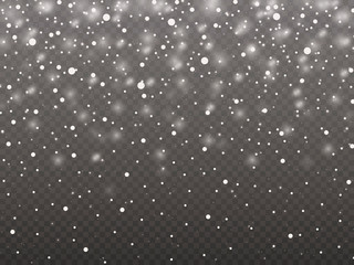 Winter background with snowflakes. Vector Illustration. Snowflake gray background invitation template