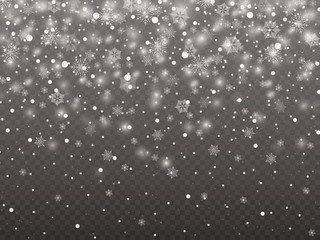 Winter background with snowflakes. Vector Illustration. Snowflake gray background invitation template