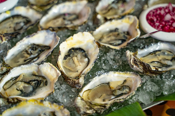 Fresh opened oysters offered as top view on crushed ice. Oysters in shells on ice, fresh sea food. Close-up