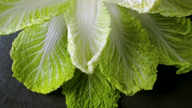 Fresh green leaves rotating on dark background. Close up.
