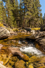 Yosemite National Park