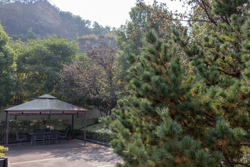 Green low pine grows in the garden. Stone path, summer garden house next to the trees. Blue sky, mountain landscape.