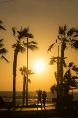 Beautiful sunset in front of the beach with happy people walking at the boardwalk with palms and trees.