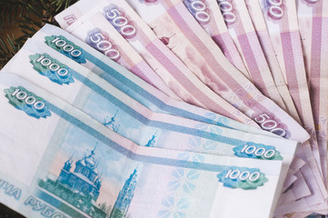 russian ruble banknotes at Christmas or New Year's wooden background with branches of spruce