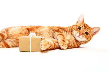 Mackerel tabby kitten posing at the side of a christmas present isolated on a white background
