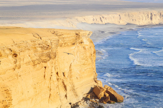 Travel to Peru: Paracas National Reserve is a protected area located in the region of Ica, Peru