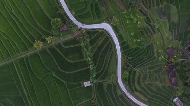 Aerial: view amazing bali road biker