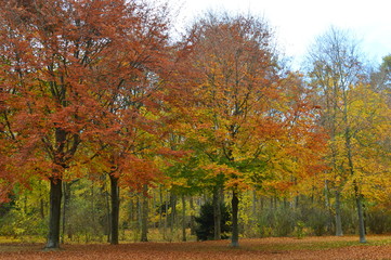COLORES DE OTO&Ntilde;O