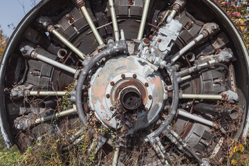 The old plane, the faulty AN-2 agricultural aeroplane costs in the field in a green grass.
