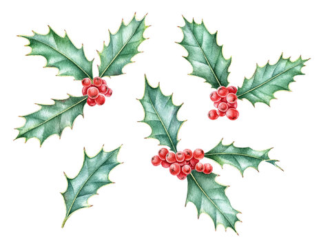 Watercolor set of holly berry, symbol of Christmas and New Year. Hand drawn elements are isolated on white background.