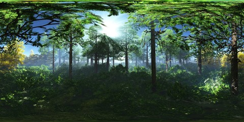 Forest in the fog, HDRI, environment map , Round panorama, spherical panorama, equidistant projection, 360 high resolution panorama
