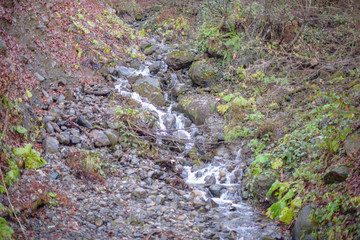 stream in the mountains