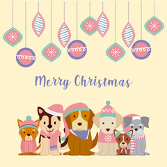 Obraz na płótnie Canvas dog merry christmas card