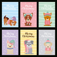 dog merry christmas card
