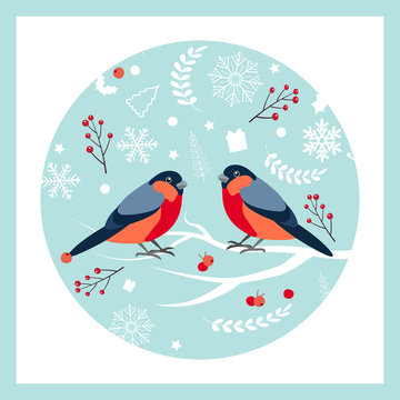 Bullfinch sitting on snow-covered branch of mountain ash. Christmas and New Year design greeting cards.