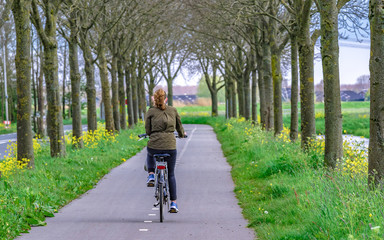 Riding Bicycle In Public Park