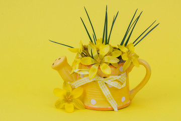crocus flowers in a vase on yellow background