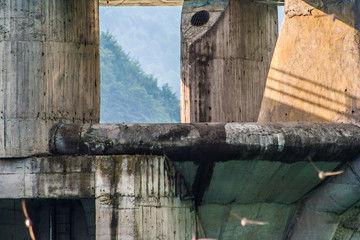Concrete Structure Circled by Seagulls