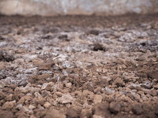 Working on the production of natural sea salt. Production of sea salt in the Bali,Indonesia. Salt crystallizes out of the ground in salt farm.