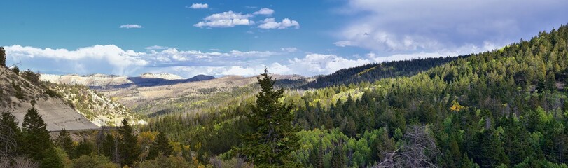 Obraz premium Late Summer early Fall panorama forest views hiking through trees in Indian Canyon, Nine-Mile Canyon Loop between Duchesne and Price on US Highway 191, in the Uinta Basin Range of Utah United States, 