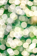 defocus of christmas tree background with shining lights