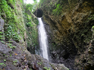 Waterfall in green rainforest. waterfall in the mountain jungle. Bali,Indonesia. Travel concept.
