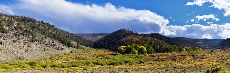 Fototapeta na wymiar Late Summer early Fall panorama forest views hiking through trees in Indian Canyon, Nine-Mile Canyon Loop between Duchesne and Price on US Highway 191, in the Uinta Basin Range of Utah United States, 