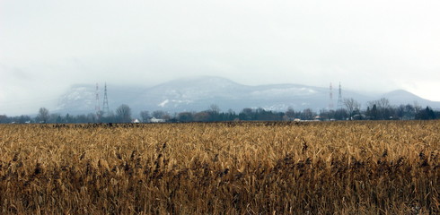 Mont St-Hilaire, Quebec in Winter