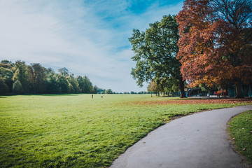 Trees, Blaise Castle Estate