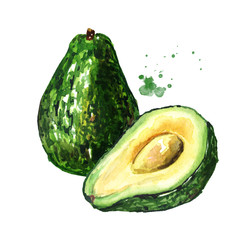 Fresh ripe avocado with half. Watercolor hand drawn illustration  isolated on white background