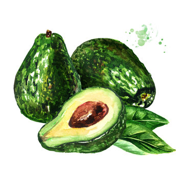 Fresh ripe avocado with half and leaf composition. Watercolor hand drawn illustration  isolated on white background