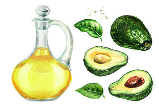 Fresh ripe avocado with jug of avocado oil set, Watercolor hand drawn illustration, isolated on white background