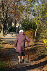 Obraz premium Rentnerin läuft mit gehhilfe in dem Park am Sonnigen Tag 