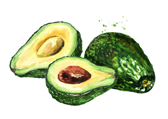 Fresh ripe avocado. Watercolor hand drawn illustration,  isolated on white background