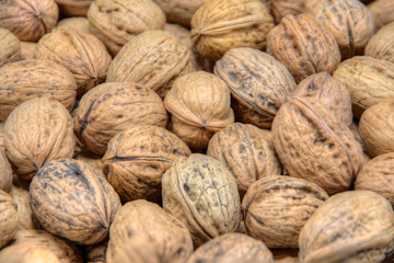 close up of walnuts