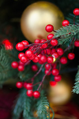 Closeup of ornamental berries on Christmas tree