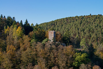 Fototapeta na wymiar Ruine der Burg Erfenstein, Estahal, Rheinland-Pfalz, Deutschland 