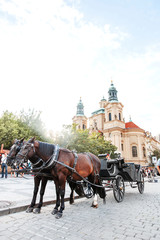Fototapeta na wymiar horse and carriage in prague