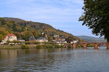 Herbst am Neckarufer in Heidelberg, Baden-Württemberg, Deutschland