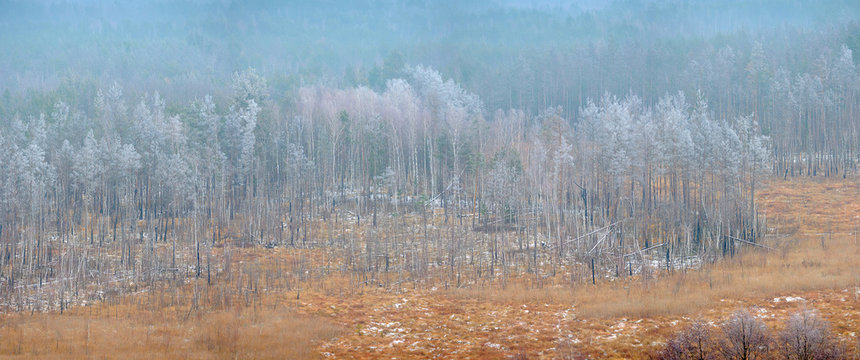 panorama from the air of a beautiful forest area, the trees are covered with inem, the first snow fell