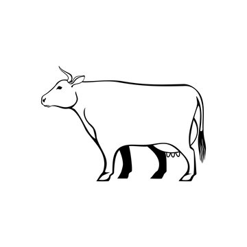 Cow, farm animal line icon. Vector stylized isolated color image.