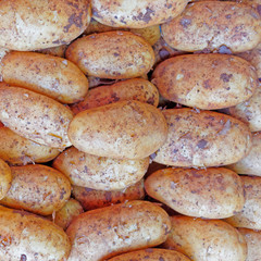 raw potatoes close up top view, organic vegetarian food background
