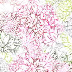Seamless sucullent pattern. Color line art beautiful background