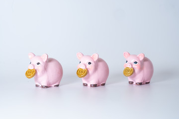 Figures of pigs with coins. Symbol of 2019