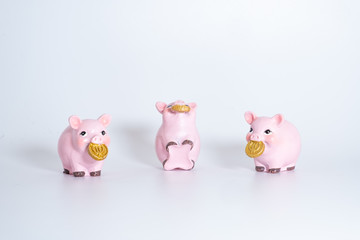Figures of pigs with coins. Symbol of 2019