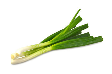 Spring onions isolated on white background